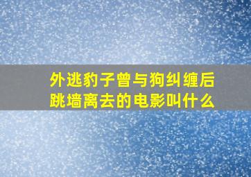 外逃豹子曾与狗纠缠后跳墙离去的电影叫什么