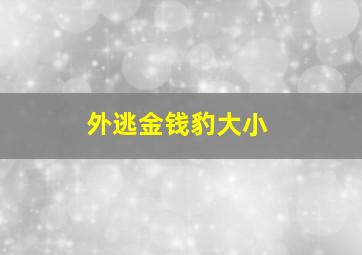 外逃金钱豹大小