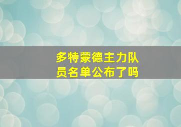 多特蒙德主力队员名单公布了吗