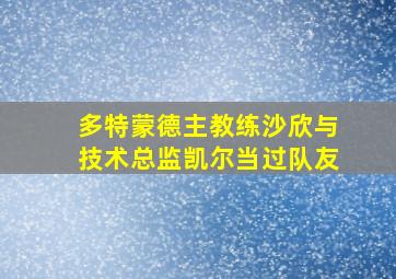 多特蒙德主教练沙欣与技术总监凯尔当过队友