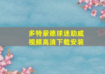 多特蒙德球迷助威视频高清下载安装