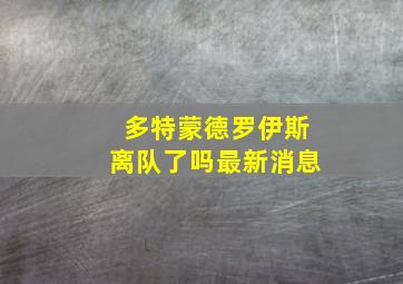 多特蒙德罗伊斯离队了吗最新消息