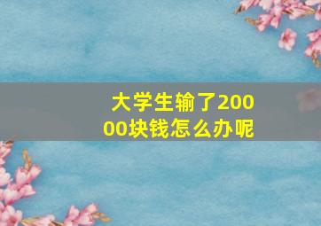 大学生输了20000块钱怎么办呢