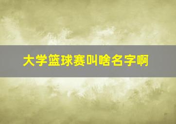 大学篮球赛叫啥名字啊