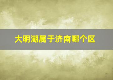 大明湖属于济南哪个区