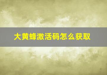 大黄蜂激活码怎么获取