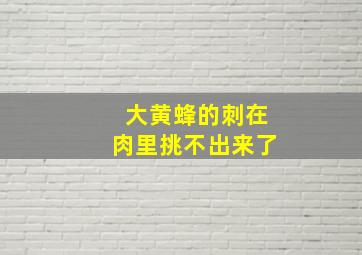 大黄蜂的刺在肉里挑不出来了