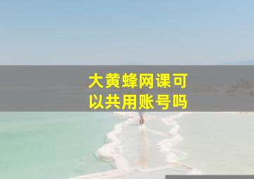 大黄蜂网课可以共用账号吗