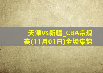 天津vs新疆_CBA常规赛(11月01日)全场集锦