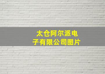 太仓阿尔派电子有限公司图片