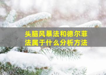 头脑风暴法和德尔菲法属于什么分析方法