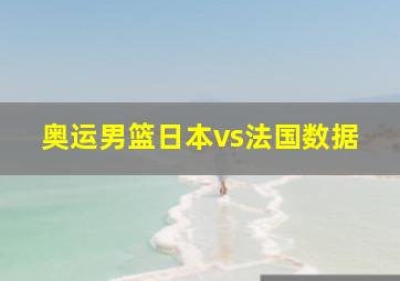 奥运男篮日本vs法国数据