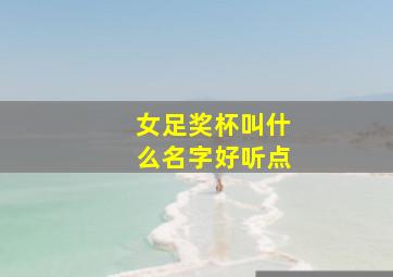 女足奖杯叫什么名字好听点