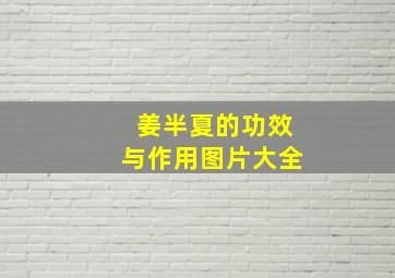 姜半夏的功效与作用图片大全