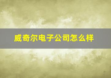 威奇尔电子公司怎么样