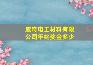 威奇电工材料有限公司年终奖金多少