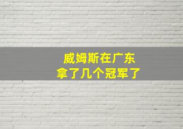 威姆斯在广东拿了几个冠军了