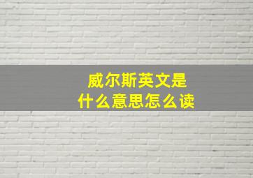 威尔斯英文是什么意思怎么读