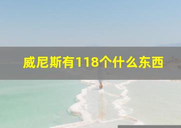 威尼斯有118个什么东西