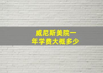 威尼斯美院一年学费大概多少