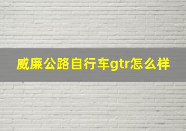 威廉公路自行车gtr怎么样