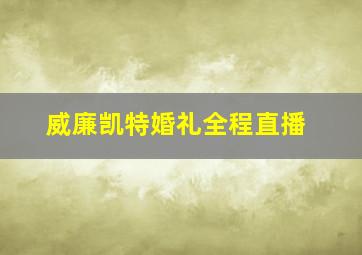 威廉凯特婚礼全程直播