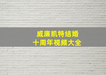 威廉凯特结婚十周年视频大全