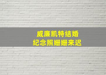 威廉凯特结婚纪念照姗姗来迟