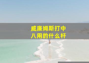 威廉姆斯打中八用的什么杆