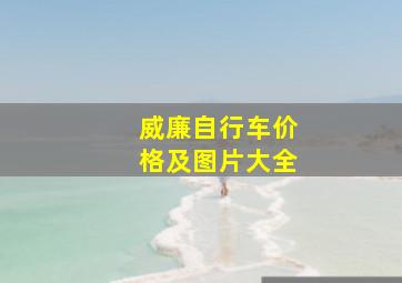 威廉自行车价格及图片大全