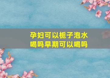 孕妇可以栀子泡水喝吗早期可以喝吗