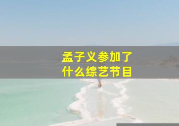 孟子义参加了什么综艺节目