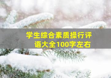 学生综合素质操行评语大全100字左右