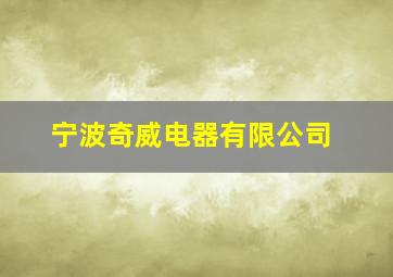 宁波奇威电器有限公司