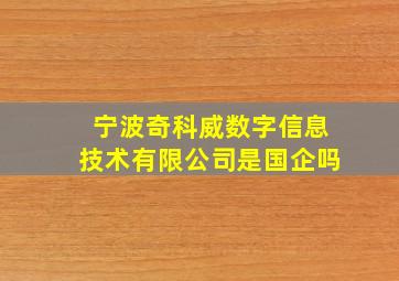 宁波奇科威数字信息技术有限公司是国企吗