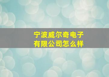 宁波威尔奇电子有限公司怎么样