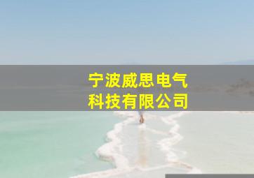 宁波威思电气科技有限公司