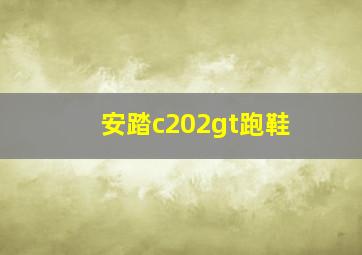 安踏c202gt跑鞋