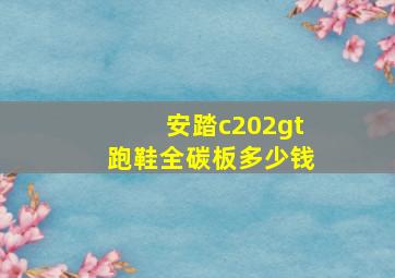 安踏c202gt跑鞋全碳板多少钱