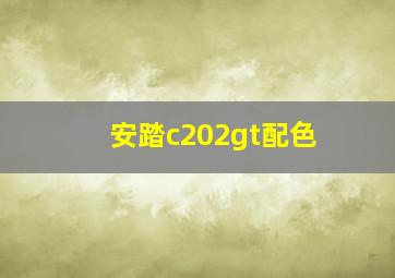 安踏c202gt配色