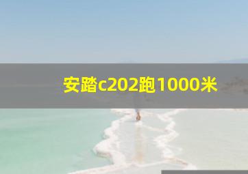 安踏c202跑1000米