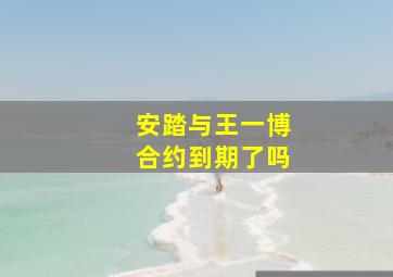 安踏与王一博合约到期了吗