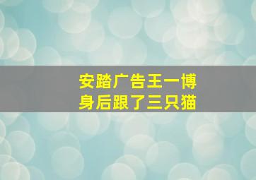 安踏广告王一博身后跟了三只猫