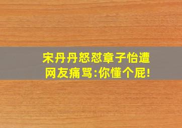 宋丹丹怒怼章子怡遭网友痛骂:你懂个屁!