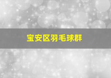 宝安区羽毛球群