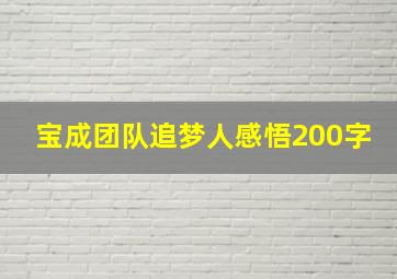 宝成团队追梦人感悟200字