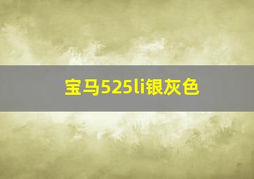 宝马525li银灰色