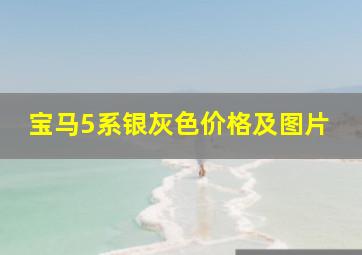 宝马5系银灰色价格及图片