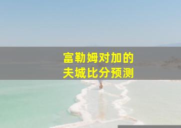 富勒姆对加的夫城比分预测