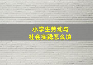 小学生劳动与社会实践怎么填